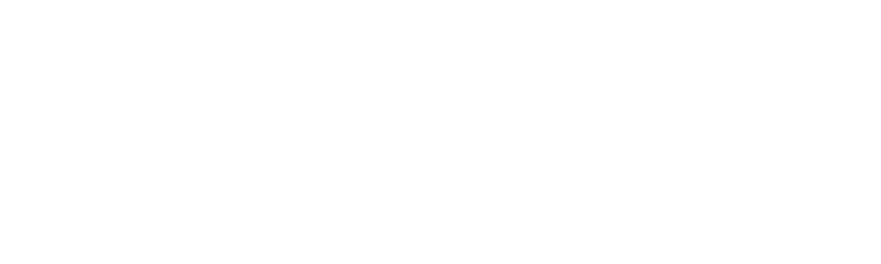 Dream Intrepid Logo